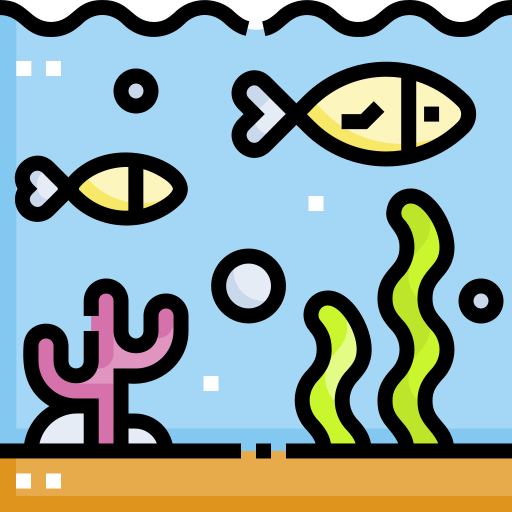 ocean